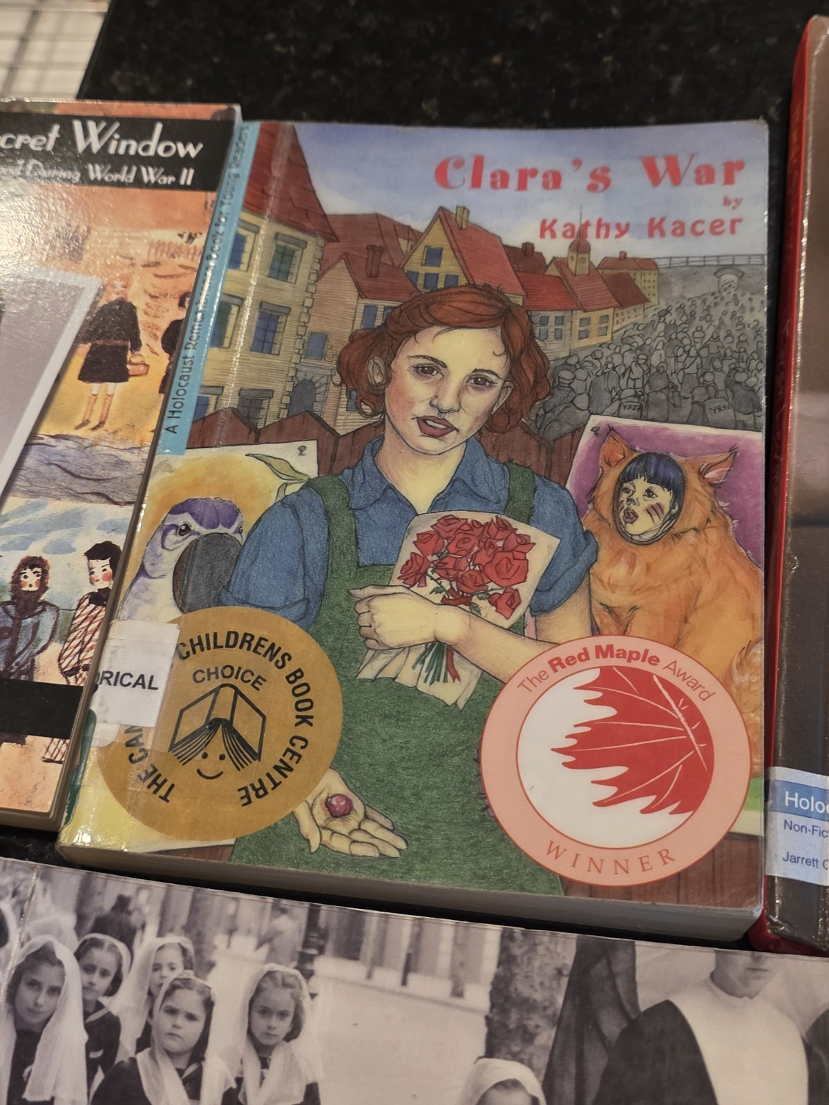 Holocaust Book Collection Classroom Library