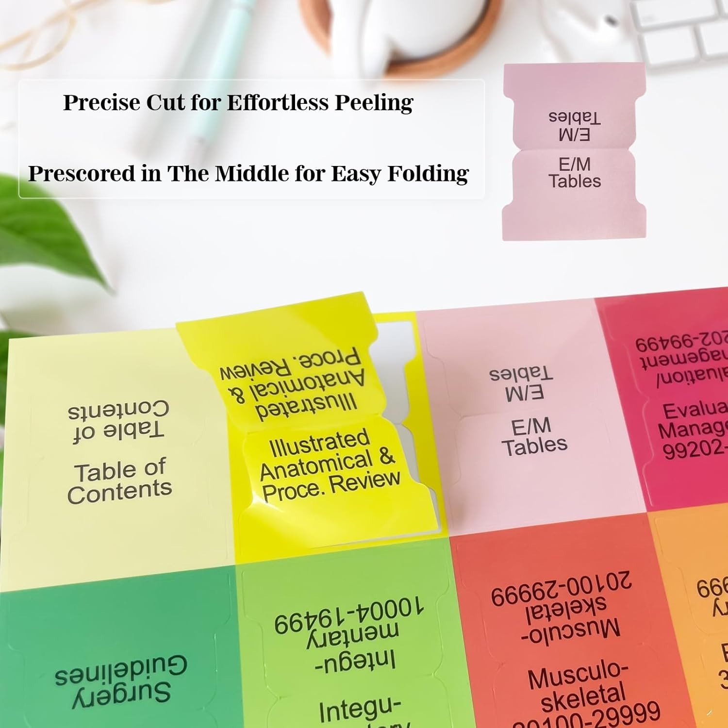 Upgraded CPT 2026 Index Tabs – Waterproof & Tear-Resistant with Guide & Bookmark